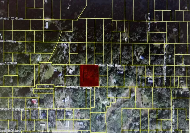 Photo 1 of Land for sale at Tbd Ne 163rd Place, Citra, FL 32113 | MLS# OM729847 | Listing updated on 2026-08-17