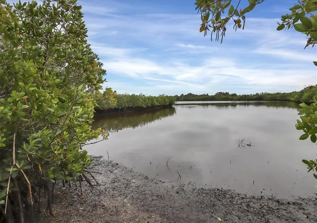 60th image of 5609 Tidewater Preserve Blvd, Bradenton, FL 34208 | MLS# A4702189