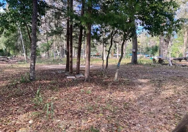 4th image of 2456 N Jungle Camp Rd #1, Inverness, FL 34453 | MLS# TB8536364