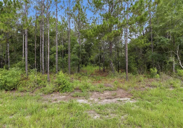 5th image of Tbd Bay Court Pass, Ocklawaha, FL 32179 | MLS# GC542528