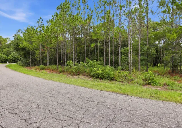 9th image of Tbd Bay Court Pass, Ocklawaha, FL 32179 | MLS# GC542528