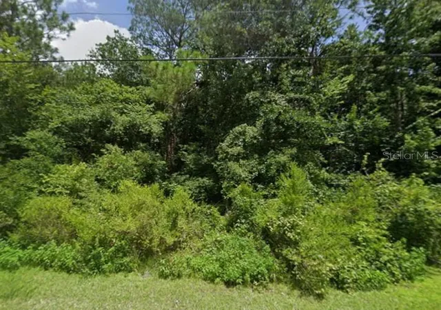 Photo 2 of Land for sale at 00 Lake Dr, New Port Richey, FL 34654 | MLS# G5116166 | Listing updated on 2026-08-18