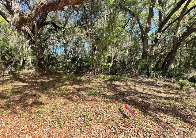 1st image of Guava Ter, Ocklawaha, FL 32179 | MLS# O6431543