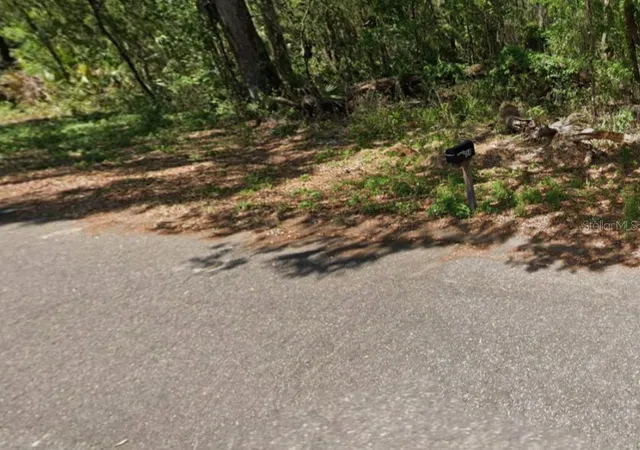 2nd image of Guava Ter, Ocklawaha, FL 32179 | MLS# O6431543