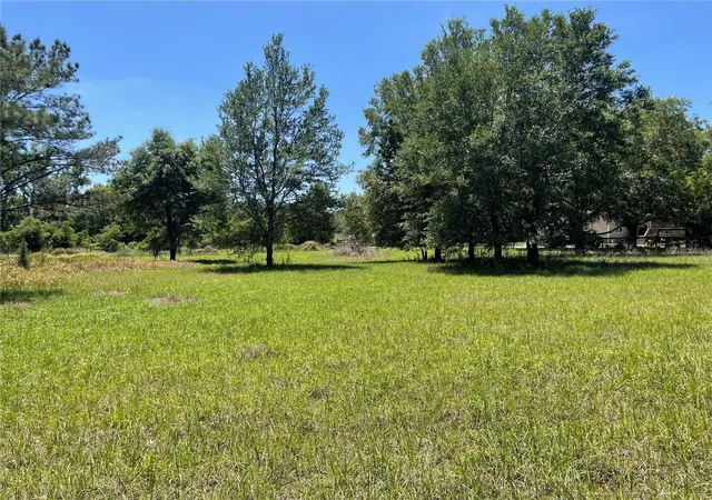 1st image of 0 Wise Owl Rd, Brooksville, FL 34602 | MLS# TB8536719
