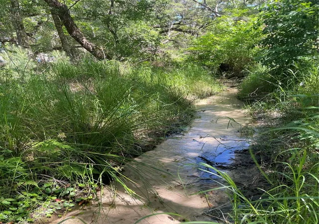 2nd image of 0 Wise Owl Rd, Brooksville, FL 34602 | MLS# TB8536719