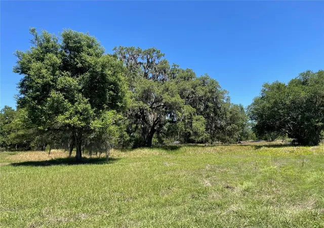 4th image of 0 Wise Owl Rd, Brooksville, FL 34602 | MLS# TB8536719