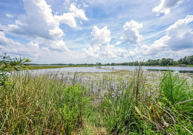 92nd image of 10112 State Road 33, Groveland, FL 34736 | MLS# O6431594