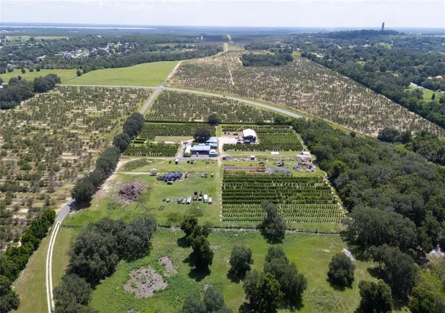 Photo 3 of Land for sale at 104 Egg Farm Rd, Lake Wales, FL 33859 | MLS# L4964104 | Listing updated on 2026-08-19
