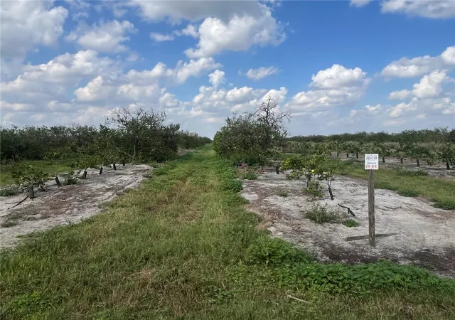 Photo 2 of Land for sale at Northeast Hwy 70 #04-24-04, Arcadia, FL 34266 | MLS# O6431847 | Listing updated on 2026-10-01