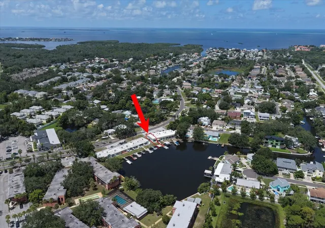 3rd image of 599 Westwinds Dr, PALM HARBOR, FL 34683