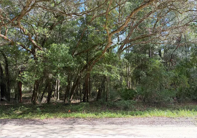 Photo 3 of Land for sale at 12640 Sw 76th Lane, Dunnellon, FL 34432 | MLS# OM730020 | Listing updated on 2026-08-17