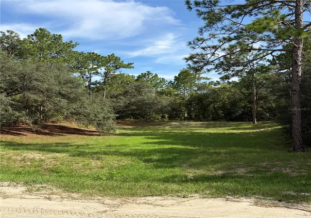 Photo 3 of Land for sale at 12640 SW 76th Lane, Dunnellon, FL 34432 | MLS# OM730020 | Listing updated on 2026-08-17
