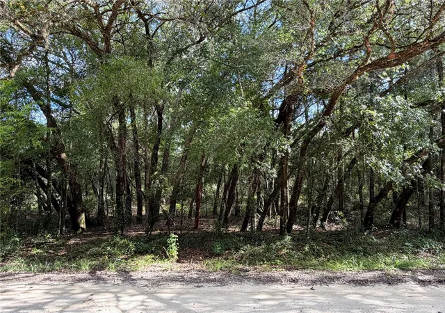 Photo 4 of Land for sale at 12640 SW 76th Lane, Dunnellon, FL 34432 | MLS# OM730020 | Listing updated on 2026-08-17