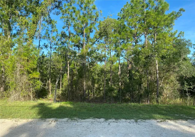 Photo 4 of Land for sale at 15421 Fleetwood Rd, Brooksville, FL 34614 | MLS# TB8537263 | Listing updated on 2026-08-22