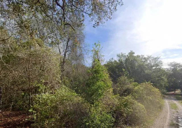 Photo 1 of Land for sale at 0 Ne 437th Avenue, Old Town, FL 32680 | MLS# A4702523 | Listing updated on 2026-08-27