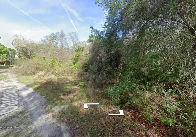 Photo 2 of Land for sale at 0 Ne 437th Avenue, Old Town, FL 32680 | MLS# A4702523 | Listing updated on 2026-08-27