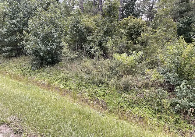 Photo 1 of Land for sale at 10210 Vaughan Ave, Hastings, FL 32145 | MLS# FC320575 | Listing updated on 2026-08-19