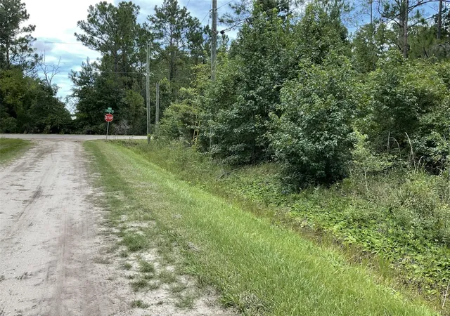 Photo 2 of Land for sale at 10210 Vaughan Ave, Hastings, FL 32145 | MLS# FC320575 | Listing updated on 2026-08-19