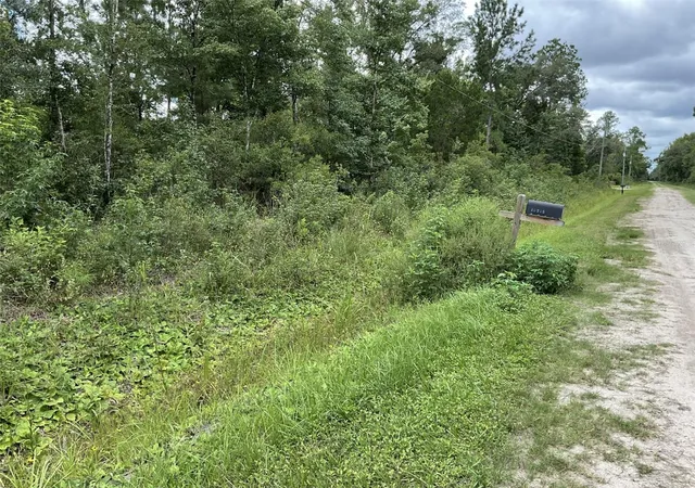 Photo 3 of Land for sale at 10210 Vaughan Ave, Hastings, FL 32145 | MLS# FC320575 | Listing updated on 2026-08-19