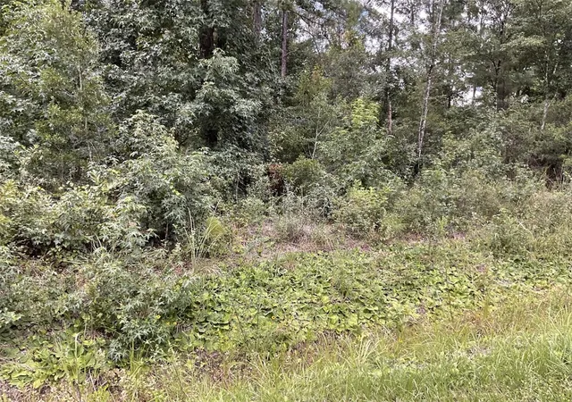Photo 1 of Land for sale at 4940 Kenneth St, Hastings, FL 32145 | MLS# FC320578 | Listing updated on 2026-08-19