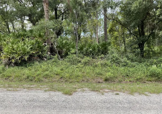 Photo 2 of Land for sale at 4940 Kenneth St, Hastings, FL 32145 | MLS# FC320578 | Listing updated on 2026-08-19