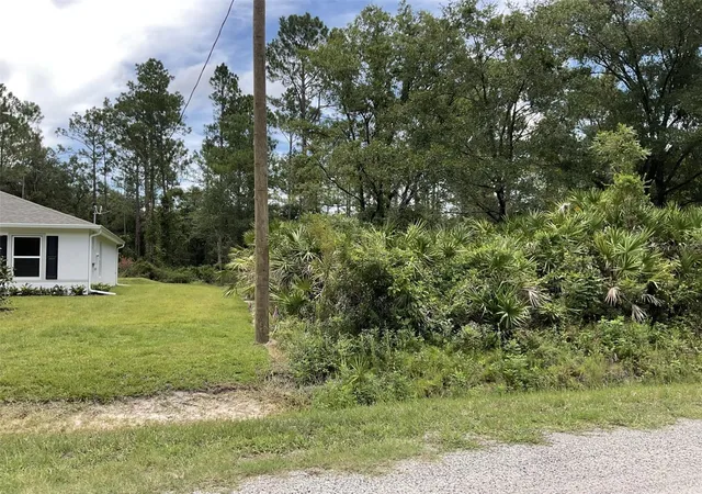 Photo 3 of Land for sale at 4940 Kenneth St, Hastings, FL 32145 | MLS# FC320578 | Listing updated on 2026-08-19