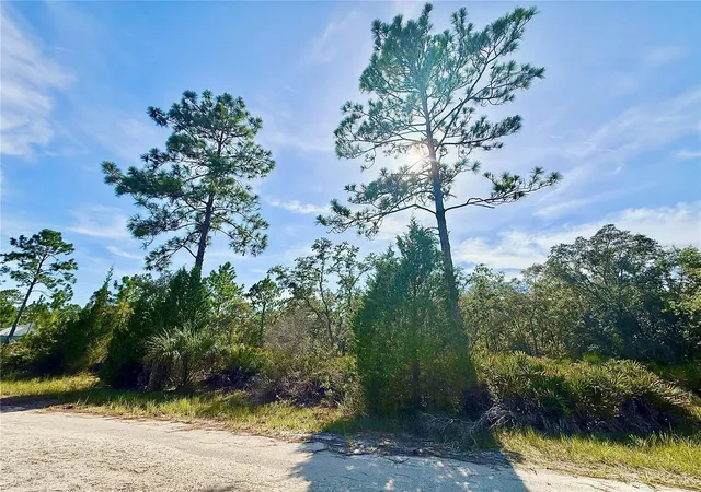 1st image of Rydal Rd, Weeki Wachee, FL 34614 | MLS# TB8537646