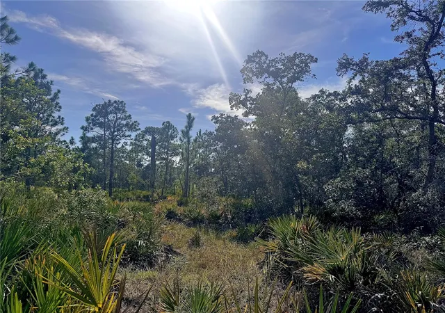 5th image of Rydal Rd, Weeki Wachee, FL 34614 | MLS# TB8537646