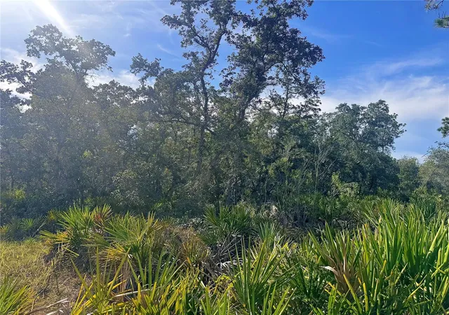 9th image of Rydal Rd, Weeki Wachee, FL 34614 | MLS# TB8537646