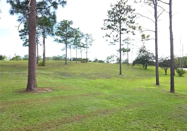 5th image of 13030 Se 21St Pl, Morriston, FL 32668 | MLS# OM730170