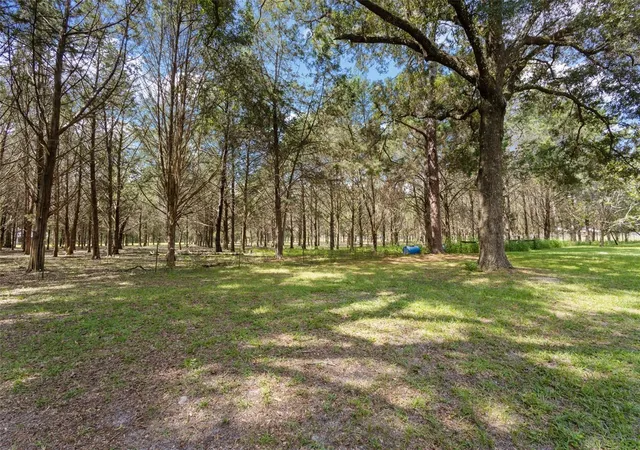 Photo 3 of Single family home for sale at 5581 Ne 157th Terrace, Williston, FL 32696 | MLS# OM730175 | Listing updated on 2026-09-08