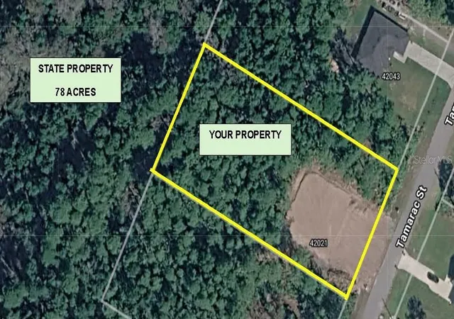 3rd image of 42021 Tamarac St, Eustis, FL 32736 | MLS# O6432870