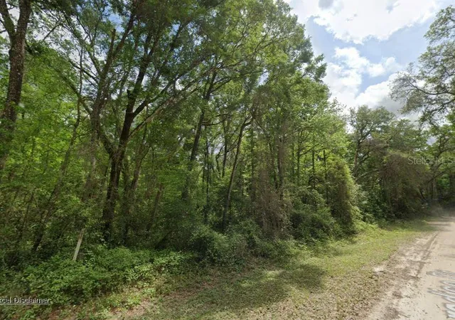 Photo 2 of Land for sale at Ne 644th Avenue, Old Town, FL 32680 | MLS# A4702756 | Listing updated on 2026-08-27