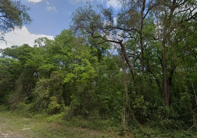 Photo 3 of Land for sale at Ne 644th Avenue, Old Town, FL 32680 | MLS# A4702756 | Listing updated on 2026-08-27
