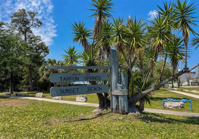 66th image of 208 Athenian Wy, Tarpon Springs, FL 34689 | MLS# TB8538139