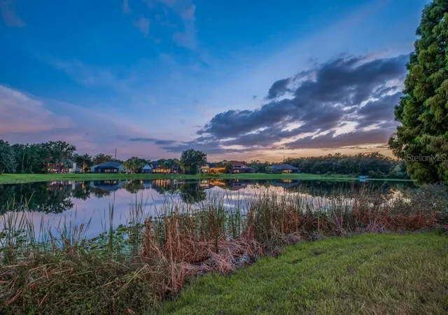 5th image of 6217 Kingbird Manor Dr, Lithia, FL 33547 | MLS# TB8538160