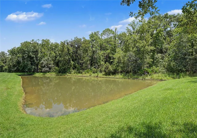 5th image of 29079 Oxmoor Ct, San Antonio, FL 33576 | MLS# TB8538189
