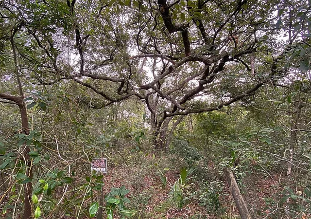 6th image of Dogwood Wy, Lady Lake, FL 32159 | MLS# G5116387