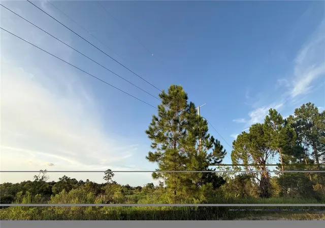 Photo 1 of Land for sale at 0 Allison Ave, Lake Wales, FL 33859 | MLS# P4939587 | Listing updated on 2026-09-08