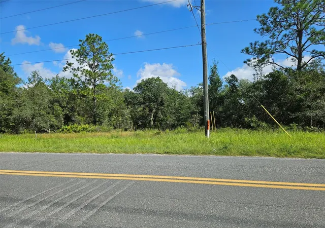 Photo 1 of Land for sale at 0000 Ne 60th Street, Bronson, FL 32621 | MLS# OM730329 | Listing updated on 2026-08-17