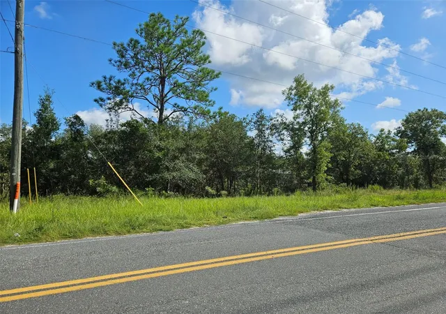 Photo 2 of Land for sale at 0000 Ne 60th Street, Bronson, FL 32621 | MLS# OM730329 | Listing updated on 2026-08-17