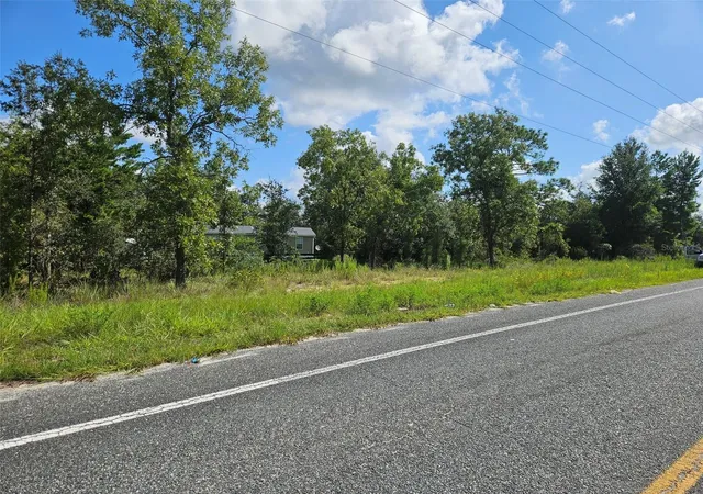 Photo 3 of Land for sale at 0000 NE 60th Street, Bronson, FL 32621 | MLS# OM730329 | Listing updated on 2026-08-17
