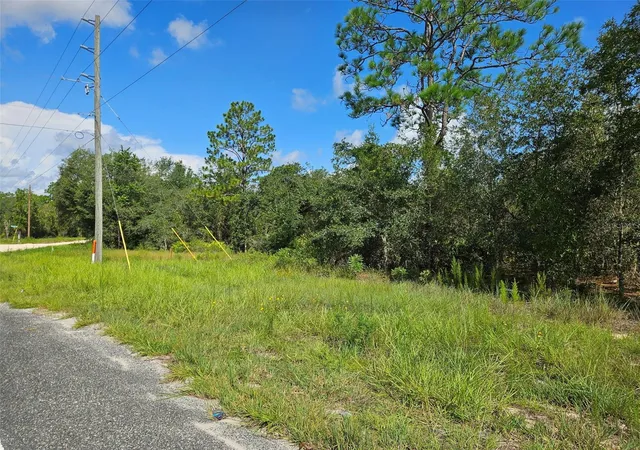 Photo 4 of Land for sale at 0000 NE 60th Street, Bronson, FL 32621 | MLS# OM730329 | Listing updated on 2026-08-17