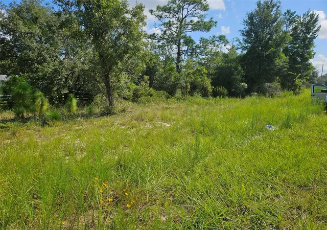 Photo 5 of Land for sale at 0000 NE 60th Street, Bronson, FL 32621 | MLS# OM730329 | Listing updated on 2026-08-17