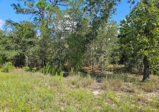 Photo 8 of Land for sale at 0000 Ne 60th Street, Bronson, FL 32621 | MLS# OM730329 | Listing updated on 2026-08-17