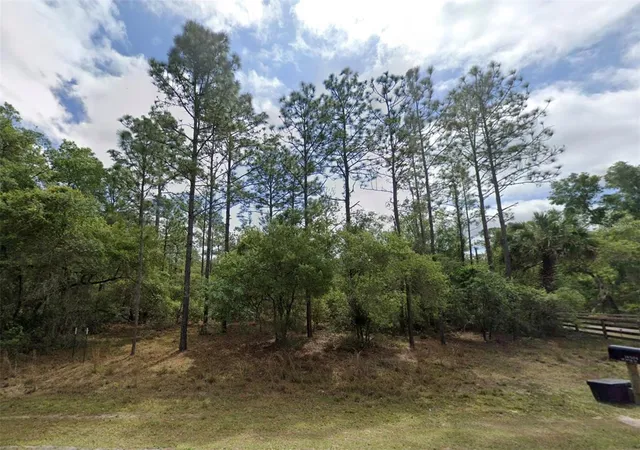 Photo 3 of Land for sale at Lot Ne 1 127th Street, Fort Mc Coy, FL 32134 | MLS# O6433294 | Listing updated on 2026-08-18