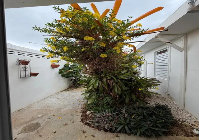 Photo 36 of Sale Pending at 163 Calle 7, Ceiba, PR 00735 | MLS# PR9123391 | Listing updated on 2026-08-19