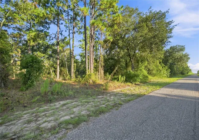 14th image of 00 Se 133 Ave, Dunnellon, FL 34431 | MLS# OM730358