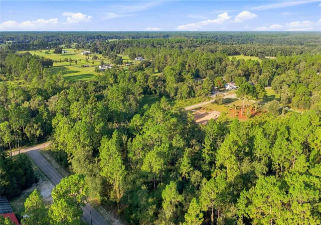 5th image of 00 Se 133 Ave, Dunnellon, FL 34431 | MLS# OM730358